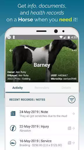 Play Stable Secretary