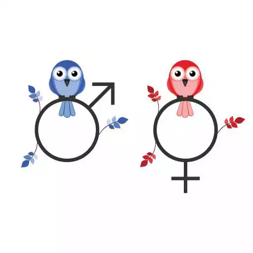 Play StabVida Birds APK Play StabVida Birds APK