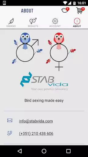 Play StabVida Birds  and enjoy StabVida Birds with UptoPlay