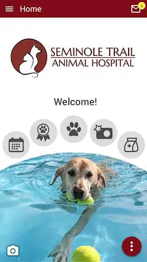 Play STAH Vet  and enjoy STAH Vet with UptoPlay