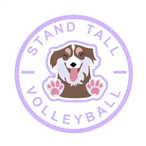 Play Stand Tall Volleyball APK