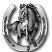 Free play online Stansbury High APK