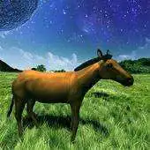 Free play online Stardust Grassland Trial APK