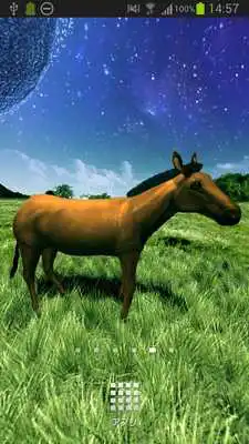 Play Stardust Grassland Trial Play Stardust Grassland Trial