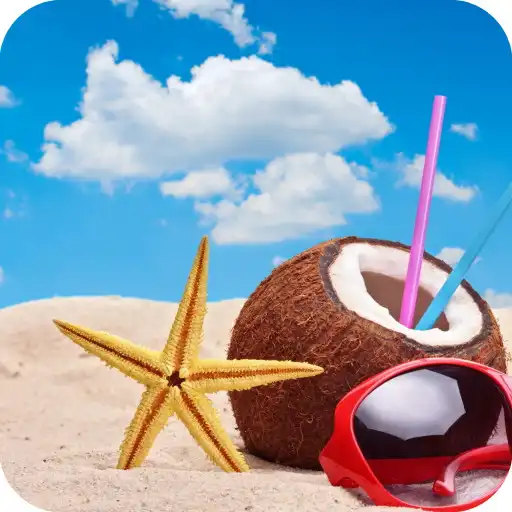 Play Starfish HD Wallpaper APK Play Starfish HD Wallpaper APK