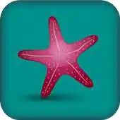 Free play online Starfish Reality APK