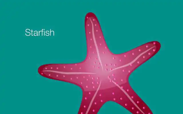 Play Starfish Reality