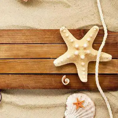 Play STARFISH Wallpapers v1
