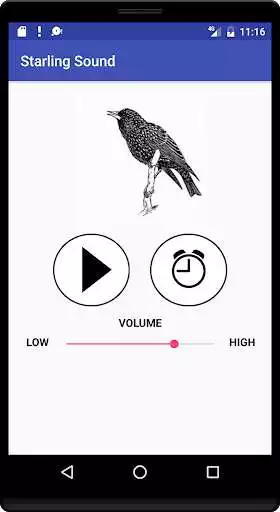 Play Starling Sound