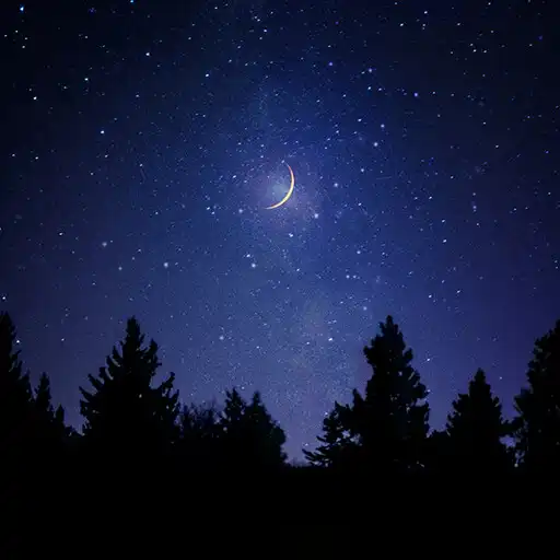 Play Starry night forest theme APK Play Starry night forest theme APK