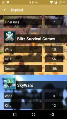 Play Statistics for Hypixel server