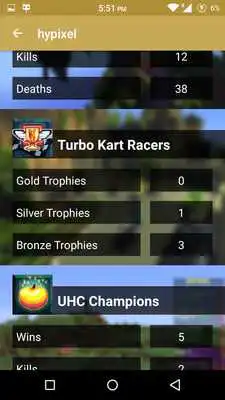 Play Statistics for Hypixel server