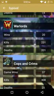 Play Statistics for Hypixel server