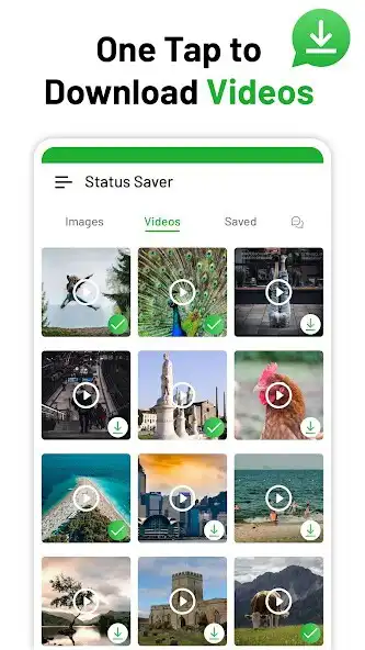 Play Status Saver for WA Downloader as an online game Status Saver for WA Downloader with UptoPlay