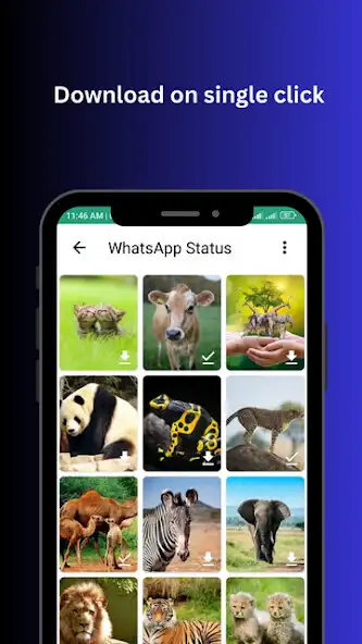Play Status Saver for WA/WA Bus  and enjoy Status Saver for WA/WA Bus with UptoPlay