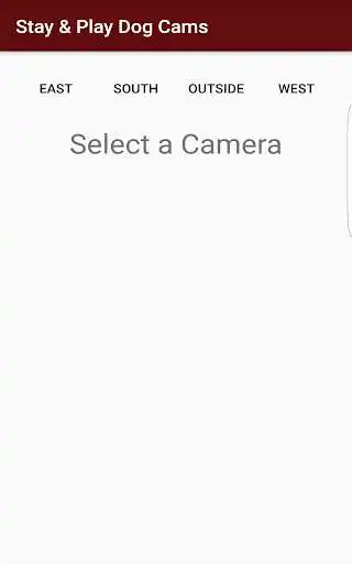 Play Stay & Play Dog Cameras  and enjoy Stay & Play Dog Cameras with UptoPlay