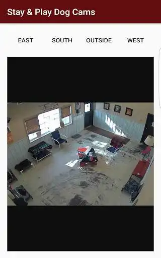 Play Stay & Play Dog Cameras as an online game Stay & Play Dog Cameras with UptoPlay