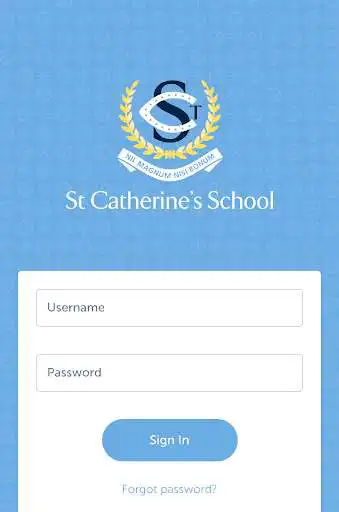 Play St Catherines School