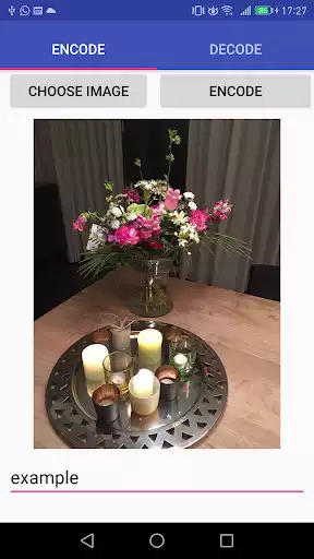 Play Steganography Play Steganography