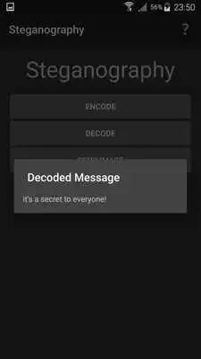 Play Steganography Play Steganography