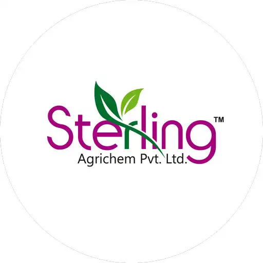 Play Sterling Team APK Play Sterling Team APK