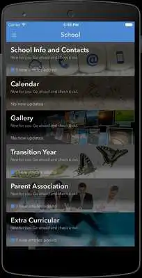 Play St. Francis College,Rochestown