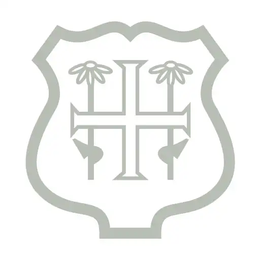 Play St Helens Connect APK