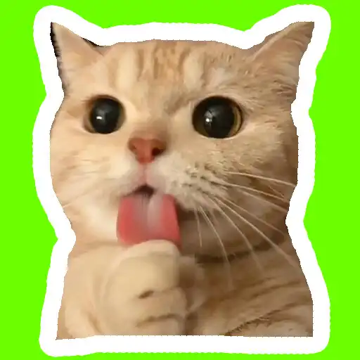 Play StickCat - tickers de gatos APK