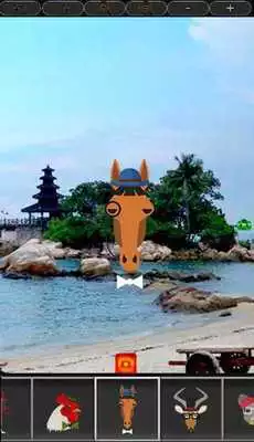 Play sticker animal