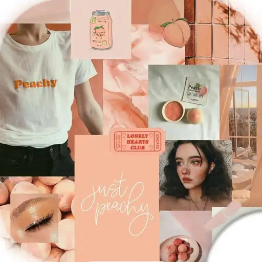 Play Stickers Aesthetic por colores APK