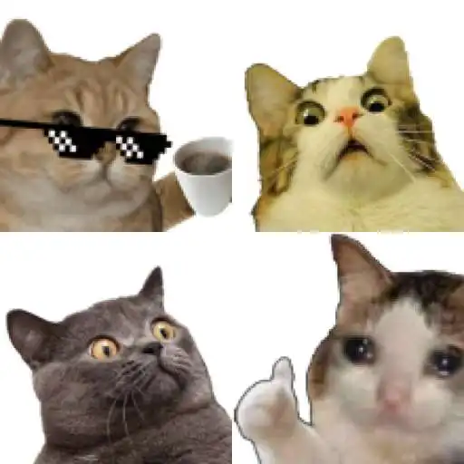 Play Stickers de gatos graciosos APK Play Stickers de gatos graciosos APK
