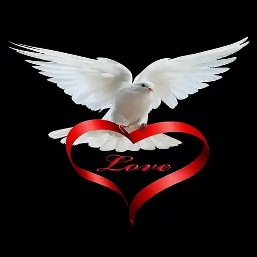 Play stickers Dove2022 APK Play stickers Dove2022 APK