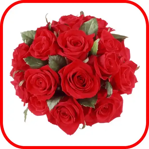Play Stickers Flowers WASticker APK Play Stickers Flowers WASticker APK