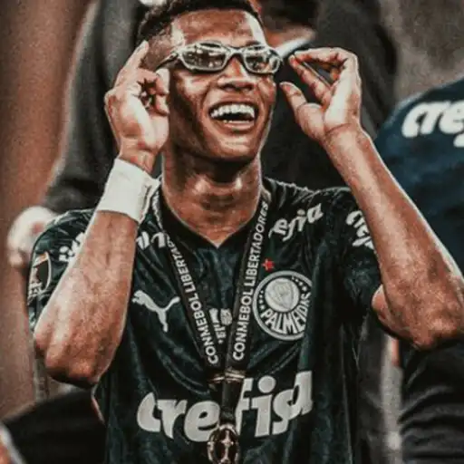 Play Stickers Palmeiras APK