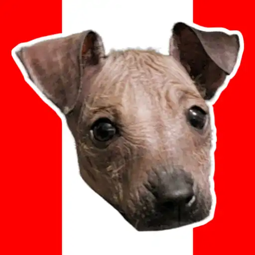 Play Stickers Perro Peruano APK