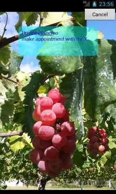 Play Sticky on Picture