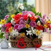 Free play online StillLife Live Wallpaper APK Free play online StillLife Live Wallpaper APK