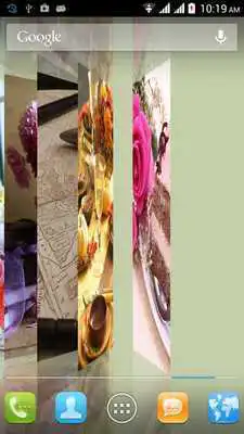 Play StillLife Live Wallpaper