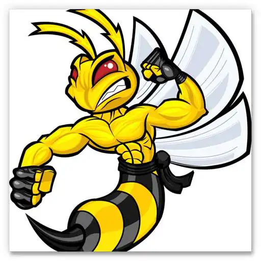 Play StingRacing APK Play StingRacing APK