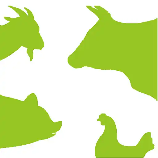 Play Stock Judge APK