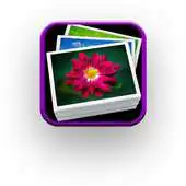 Free play online Stock Photo Freebies APK
