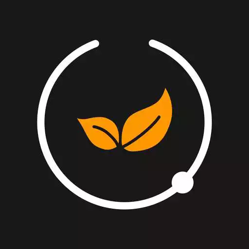 Play Stone Connect Wi-Fi APK