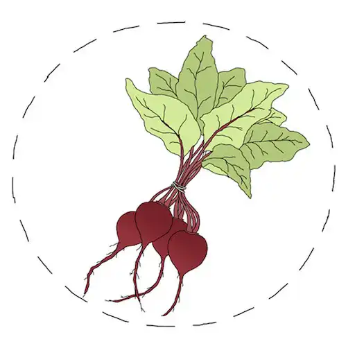 Play Stonesoup 6-Ingredient Dinners APK Play Stonesoup 6-Ingredient Dinners APK
