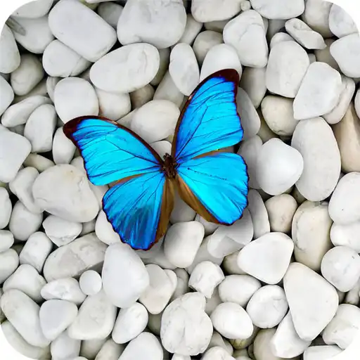 Play Stone Wallpapers 4K APK Play Stone Wallpapers 4K APK