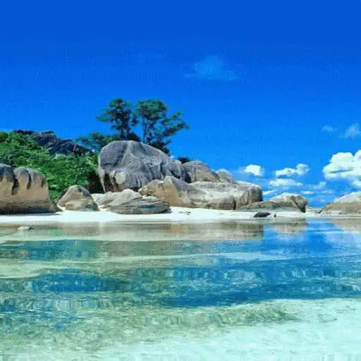 Play Stony Beach Live Wallpaper APK Play Stony Beach Live Wallpaper APK