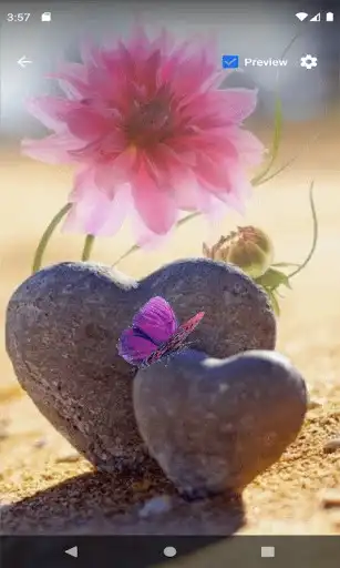Play Stony Hearts Flower LWP as an online game Stony Hearts Flower LWP with UptoPlay