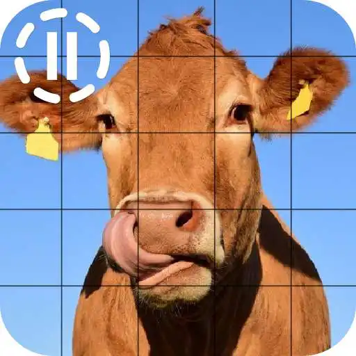 Play Stop It - Animated Puzzle APK Play Stop It - Animated Puzzle APK