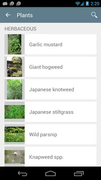 Play Stop NY Invasives as an online game Stop NY Invasives with UptoPlay