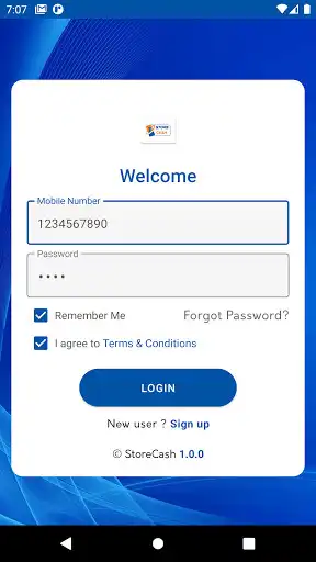 Play Storepay as an online game Storepay with UptoPlay