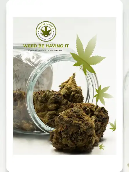 Play STORE WEED BE HAVING IT  and enjoy STORE WEED BE HAVING IT with UptoPlay